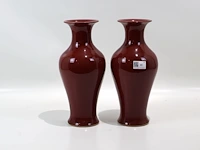 Vaas (x2) - afbeelding 1 van  3