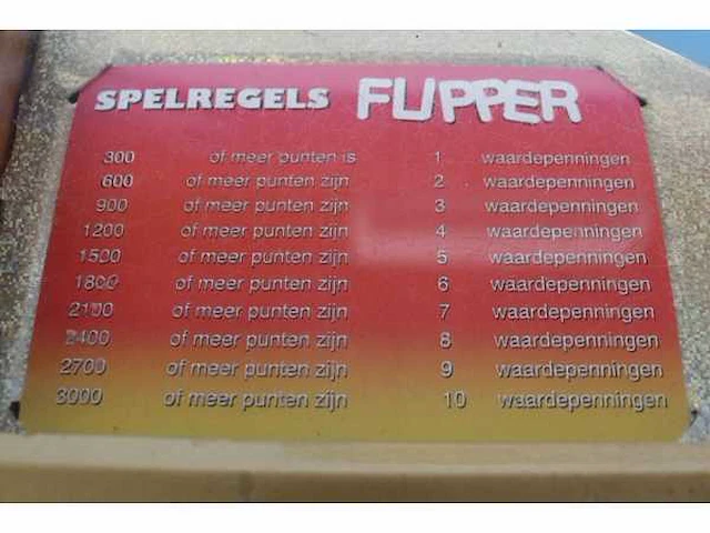 Van de meer kermis flipperkast - afbeelding 7 van  8