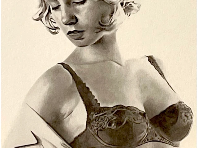 Van ingelgom - afbeelding 2 van  3