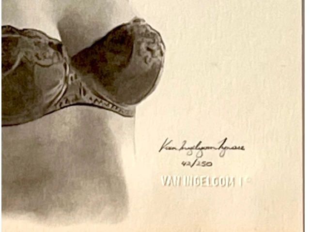 Van ingelgom - afbeelding 3 van  3