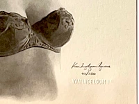 Van ingelgom - afbeelding 3 van  3