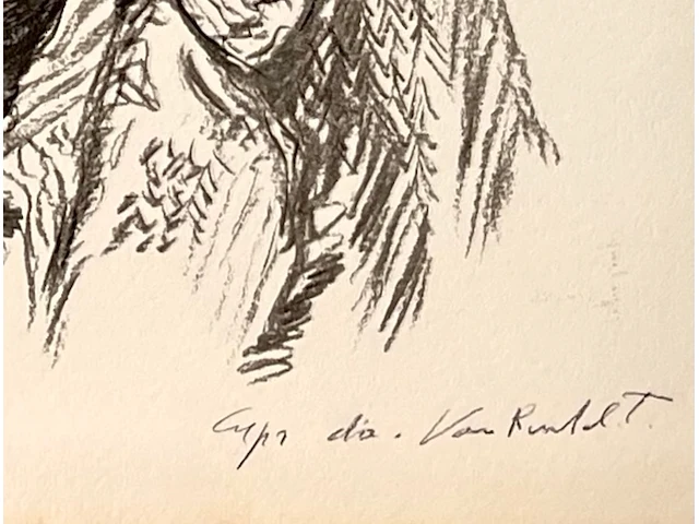 Van rintel - afbeelding 3 van  3