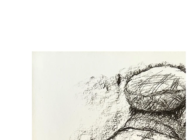 Van rintel - afbeelding 2 van  3