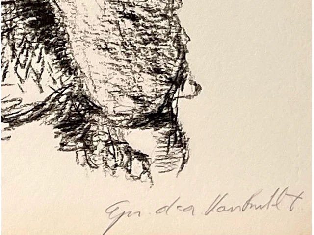 Van rintel - afbeelding 3 van  3