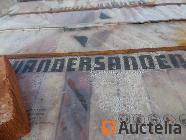 Vandersanden bodeca gevelstenen - afbeelding 4 van  6