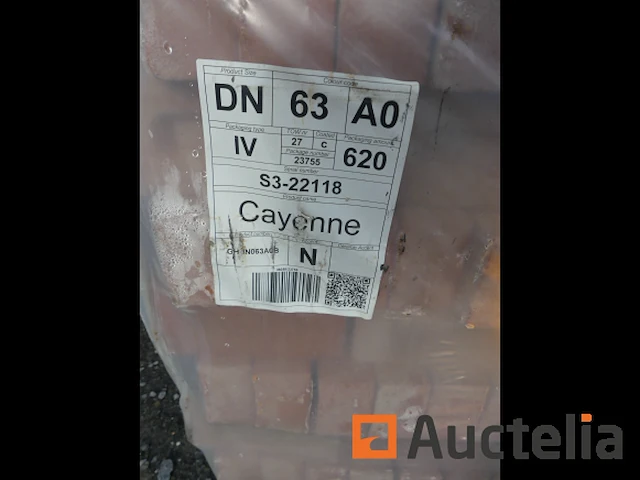 Vandersanden cayenne gevelstenen - afbeelding 1 van  3