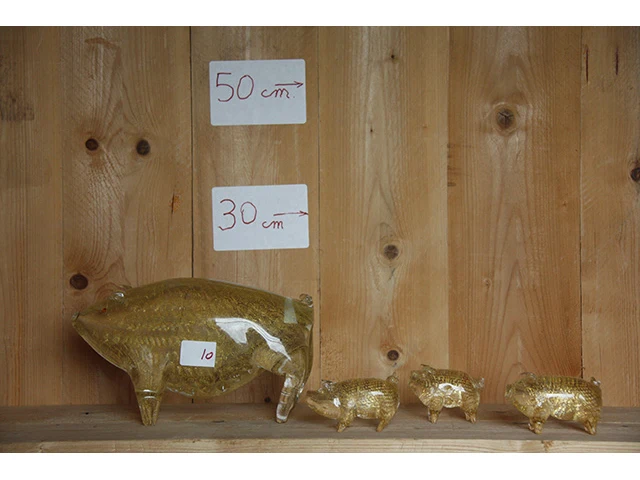 Varken + 3 biggetjes - afbeelding 2 van  2