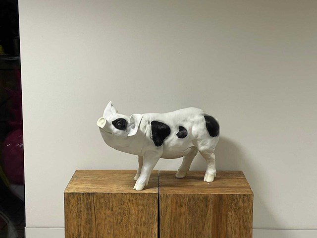 Varken staand h40cm x l65cm wit/zwart - afbeelding 2 van  2