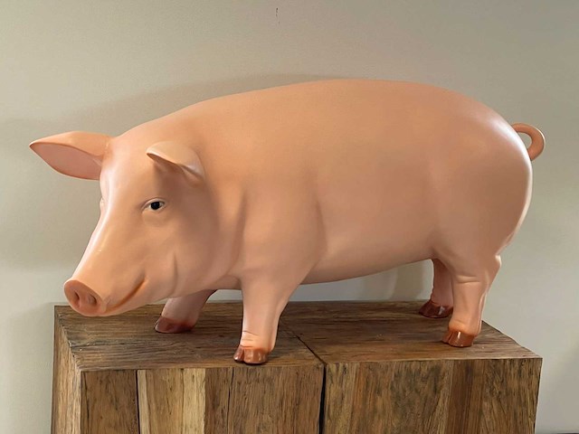 Varken staand h50cm x l100cm roos - afbeelding 1 van  1