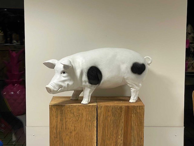 Varken staand h50cm x l100cm wit/zwart - afbeelding 1 van  1