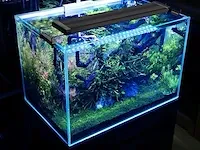 Varmhus led-aquariumverlichting - afbeelding 3 van  3