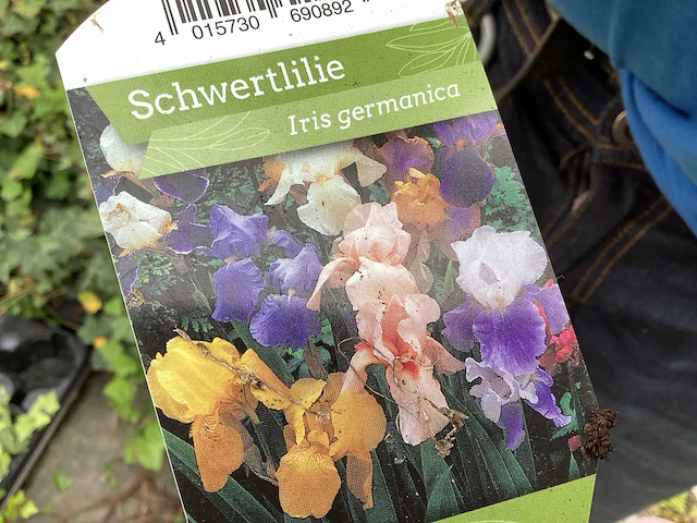 Vaste planten - iris (x20) - afbeelding 3 van  3