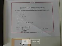 Veerkracht katia van buyten - afbeelding 4 van  5