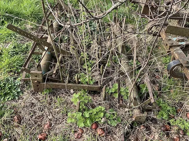 Veertandcultivator met rol - afbeelding 9 van  10