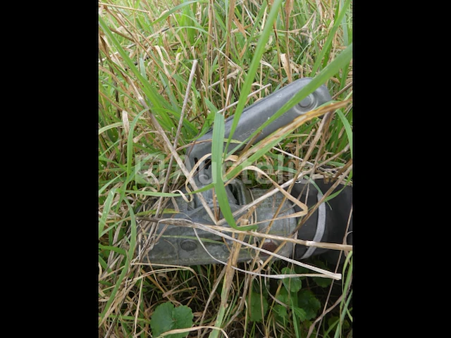 Veetrailer (zonder documenten) - afbeelding 5 van  16