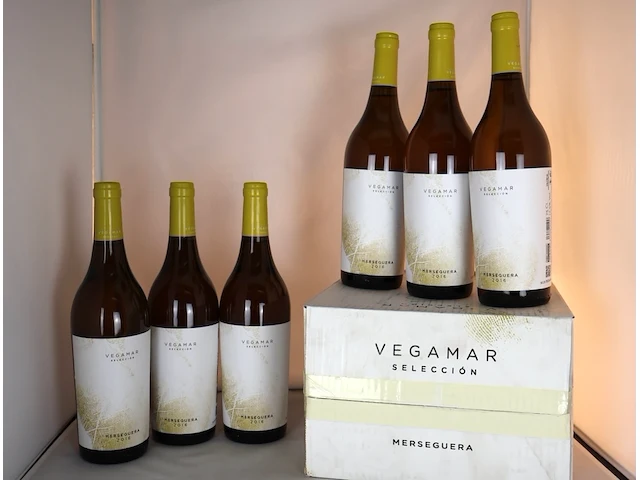 Vegamar seleccion merseguera 2016 (x12) - afbeelding 1 van  3