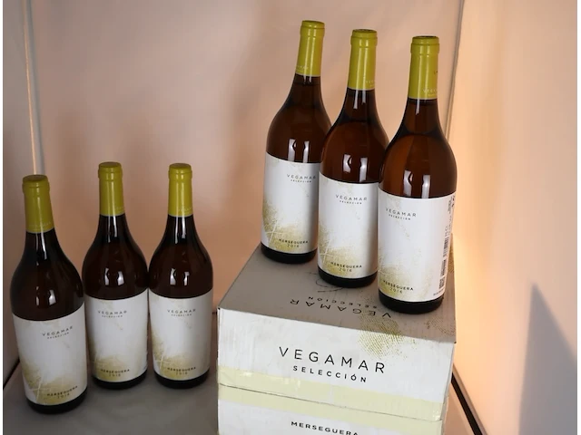 Vegamar seleccion merseguera 2016 (x12) - afbeelding 2 van  3