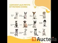 Veiligheids heras bouwhek voor hondendieren zonder piercing - afbeelding 6 van  9