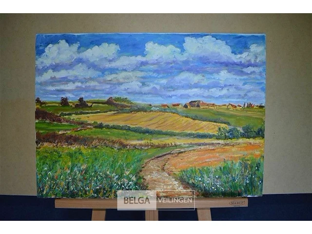Veld landschap - afbeelding 1 van  1
