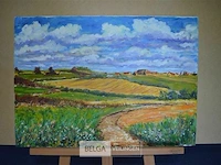 Veld landschap - afbeelding 1 van  1