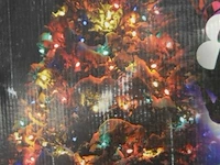 Velleman kerstverlichting led 20 colors - afbeelding 3 van  3