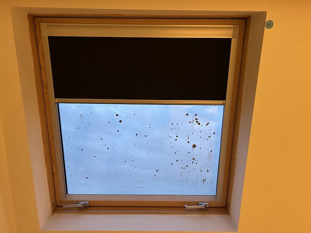 Velux (4st) - 3de verdieping - afbeelding 3 van  6