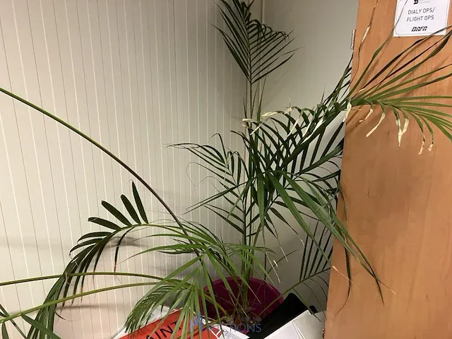 Ventilator, vuilnisbak, plant - afbeelding 2 van  2