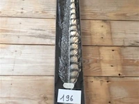 Veren - afbeelding 1 van  1