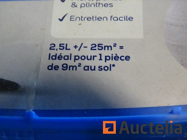 Verf (muur, deur, plint) 2,5 l dulux le bleu canard - afbeelding 3 van  3