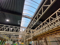 Verflijn met 2 uithardingshokjes - afbeelding 19 van  36