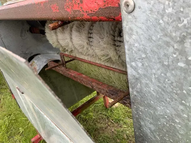 Verhoest knolselderwasser - afbeelding 4 van  6