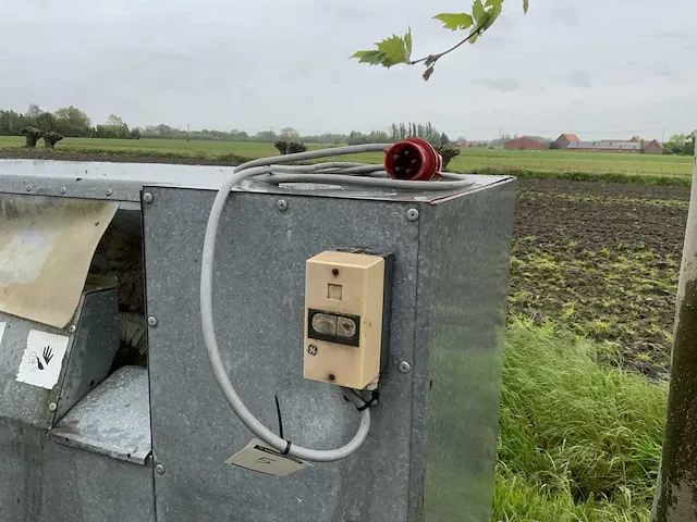 Verhoest knolselderwasser - afbeelding 5 van  6