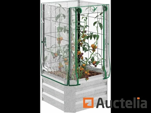 Verhoogde plantenbak, set van 3 kassen met deksel - afbeelding 1 van  6