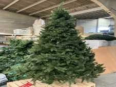 Verhuur decoratie- en kerstmaterialen wegens stopzetting