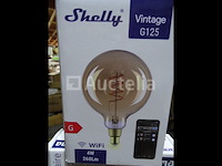 Verlichtingsitems (zie detail) - afbeelding 4 van  4