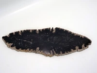 Versteend hout - afbeelding 4 van  5