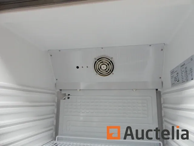 Verticaal koelkast combisteel 7450.0560 - afbeelding 4 van  10