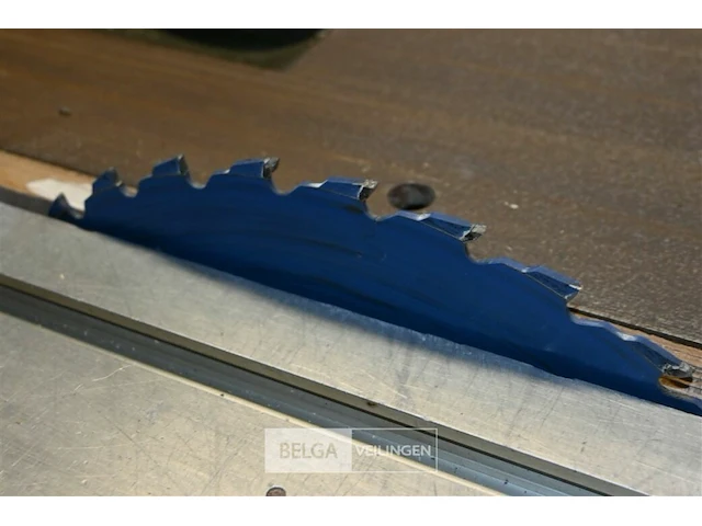 Vertongen paneelzaagmachine - afbeelding 4 van  7