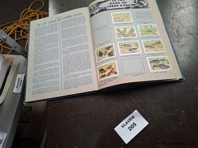 Verzamelalbum - afbeelding 2 van  2