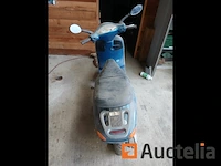 Vespa oxbow - afbeelding 2 van  4