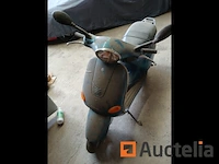 Vespa oxbow - afbeelding 3 van  4