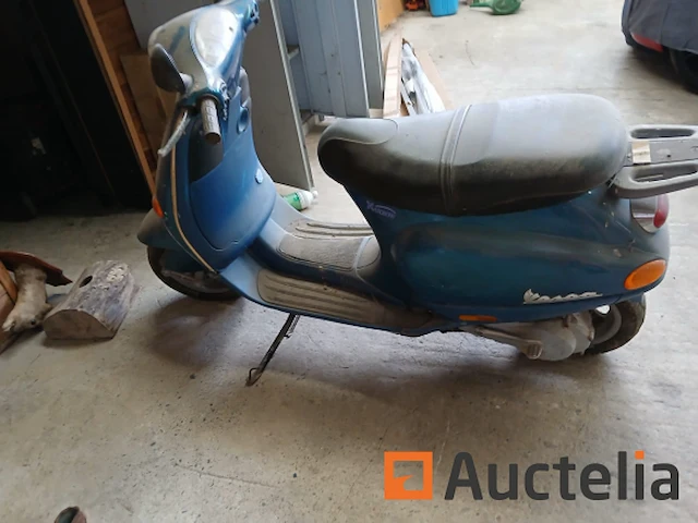 Vespa oxbow - afbeelding 4 van  4