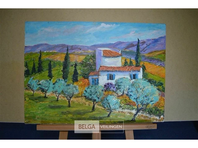 Villa in provence - afbeelding 1 van  1