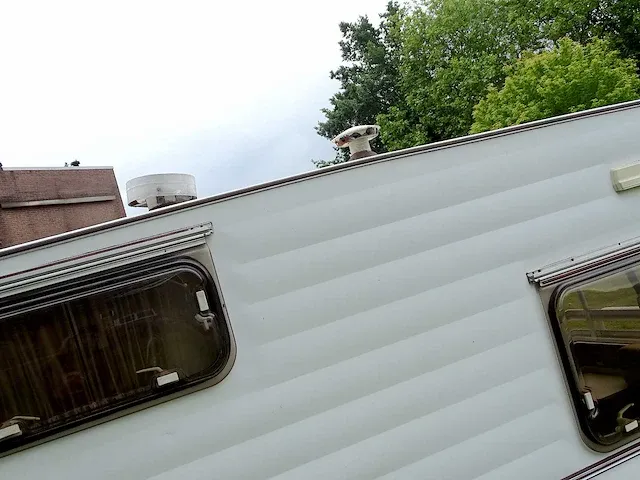 Vintage camper fiat 238 (1.4), s-033-kx - afbeelding 4 van  65