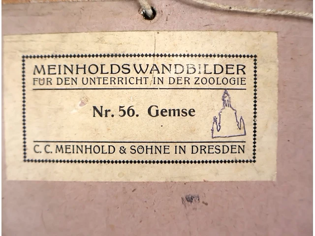 Vintage schoolplaat - afbeelding 6 van  6