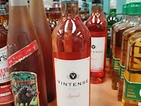 Vintense cépages syrah rosé 0,0%