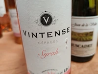 Vintense cépages syrah rosé 0,0% - afbeelding 2 van  4