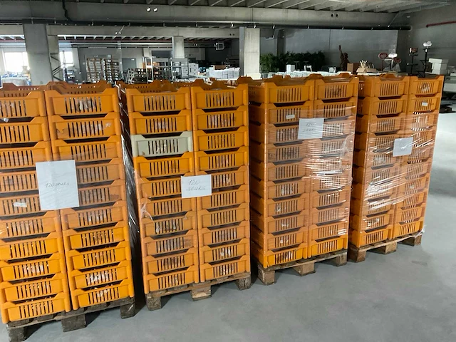 Visterrine groot en klein formaat(2600x) - afbeelding 2 van  10