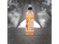 Vitalic - mango/clementine/cinnamon - sportdrank - afbeelding 1 van  3