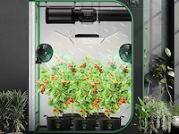 Vivosun kweektent (5x2m) - afbeelding 3 van  8